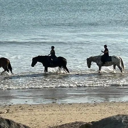 Les Pieds Dans L Eau